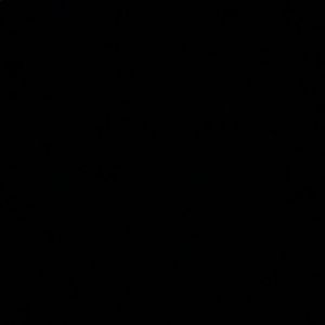 Meet your Posher, Ali